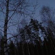 Манок Заяц Самка