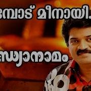 Ambedu Meenayi M G Sreekumar