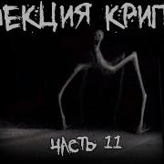 Коллекция Крипоты