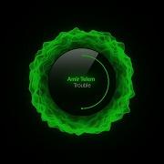 Amir Telem Trouble
