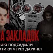 Как Россию Накачивают Н Котиками Страна Закладок