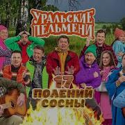 Уральские Пельмени 17 Полей Сосны