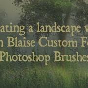 Photoshop Tutorial Custom Foliage Brushes