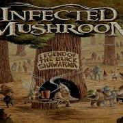 Infected Mushroom Project 100