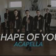 Ed Sheeran Shape Of You Acapella Mike Tompkins