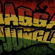 Ragga Jungle