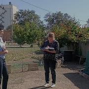 Людмила Борзила