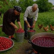 Fruits And Berries Жеміс Жидек Фрукты И Ягоды