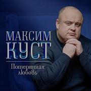Ночь Заступница Максим Куст