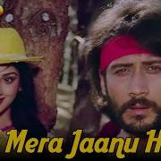 Anuradha Paudwal Too Mera Hero Hai