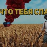 Тебя Спасет Сковорода