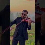 Скрипка Ибрагима Паши