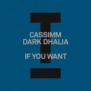 Cassimm Dark Dahlia If You Want Extended Mix