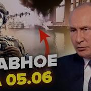 Это Не Просто Собака