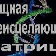 Попробуйте Послушать В Течение 15 Минут Сразу Подействует Мощная Всеисцеляющая Матрица Гаряева