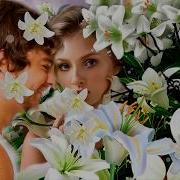 Песни Сергея Орлова Лилия