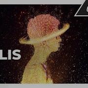 Ellis Orbit