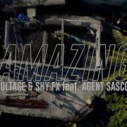 Voltage Shy Fx Amazing Feat Agent Sasco