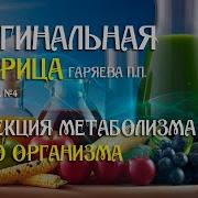 Программа 4 Коррекция Общего Обмена Веществ И Работы Пищеварительного Тракта