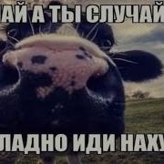 Слушай А Ты Случайно Не