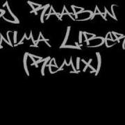 Dj Raaban Anima Libera Remix