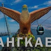 Лайти Знает