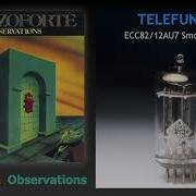 Mezzoforte Observations