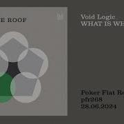 What Is What Void Logic