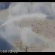 Юлдуз Усманова Ташлама Аллах