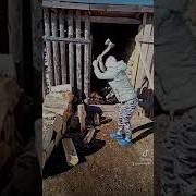 Мы У Нас В Деревне Не Скучаем Нам Некогда Скучать