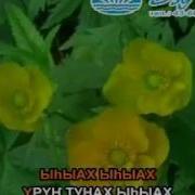 Текст Песни Ыһыах