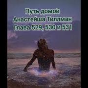 Путь Домой 530