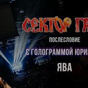 Сектор Газа Послесловие