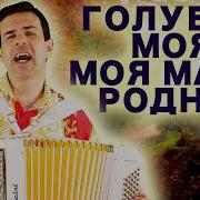 Голубка Моя Моя Мама Родная