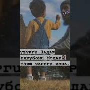 Фарзанди Падар Меваи Ноёб Хаст
