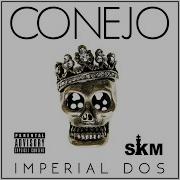 Command This Domain Conejo
