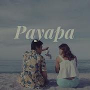 Payapa Sud