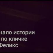 История Кота По Кличке Феликс