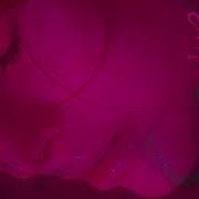 Asdeep69 Saturn