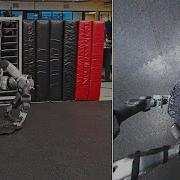 Do The Robot
