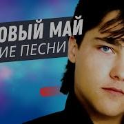 Художник Laskovy May