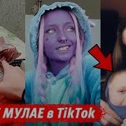 Спулае Мулае В Tik Tok Это Тик Ток Детка