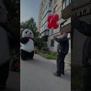 Мишка Панда