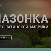 Чудеса Дикой Природы Южной Америки 4K