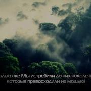 Мансур Мухийдин Каф