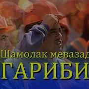Мусофир Шамолак