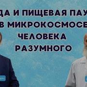 Викторо Ефимов