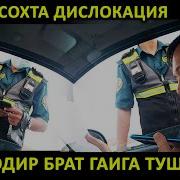 Дан Ходим Жаркургон