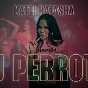 Natti Natasha Tu Perrota