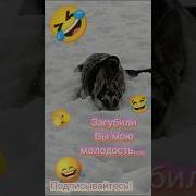 Эх Загубили Вы Мою Молодость
